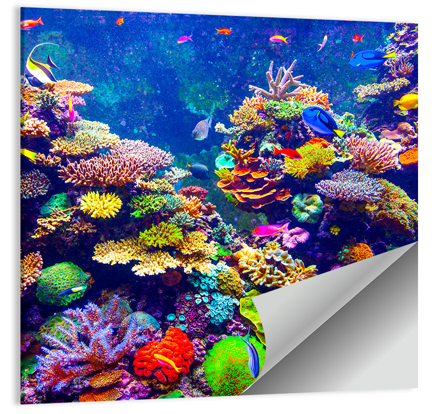 Tropical Aquarium Wall Art
