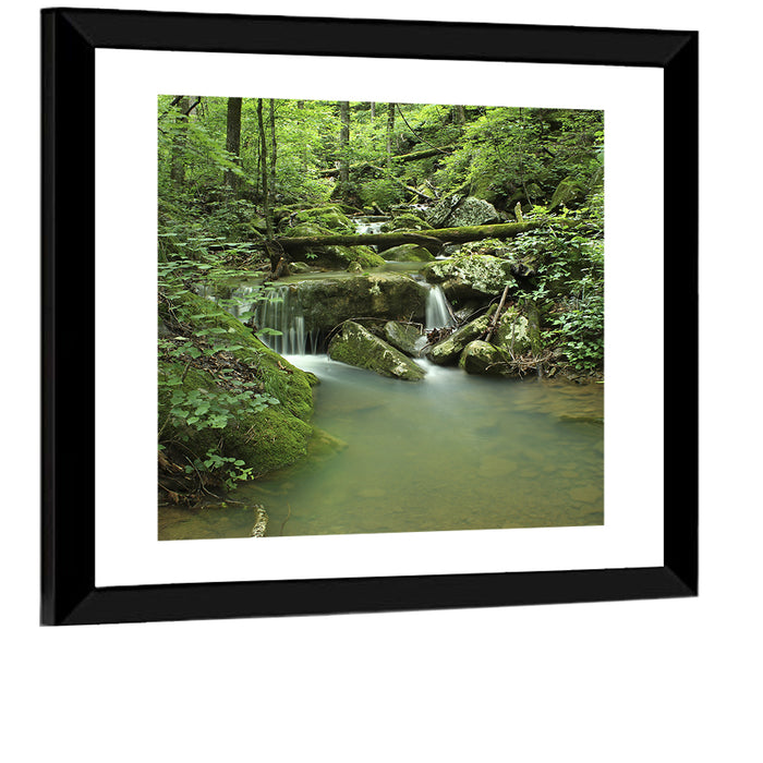Arkansas Forest Stream Wall Art as a framed print
