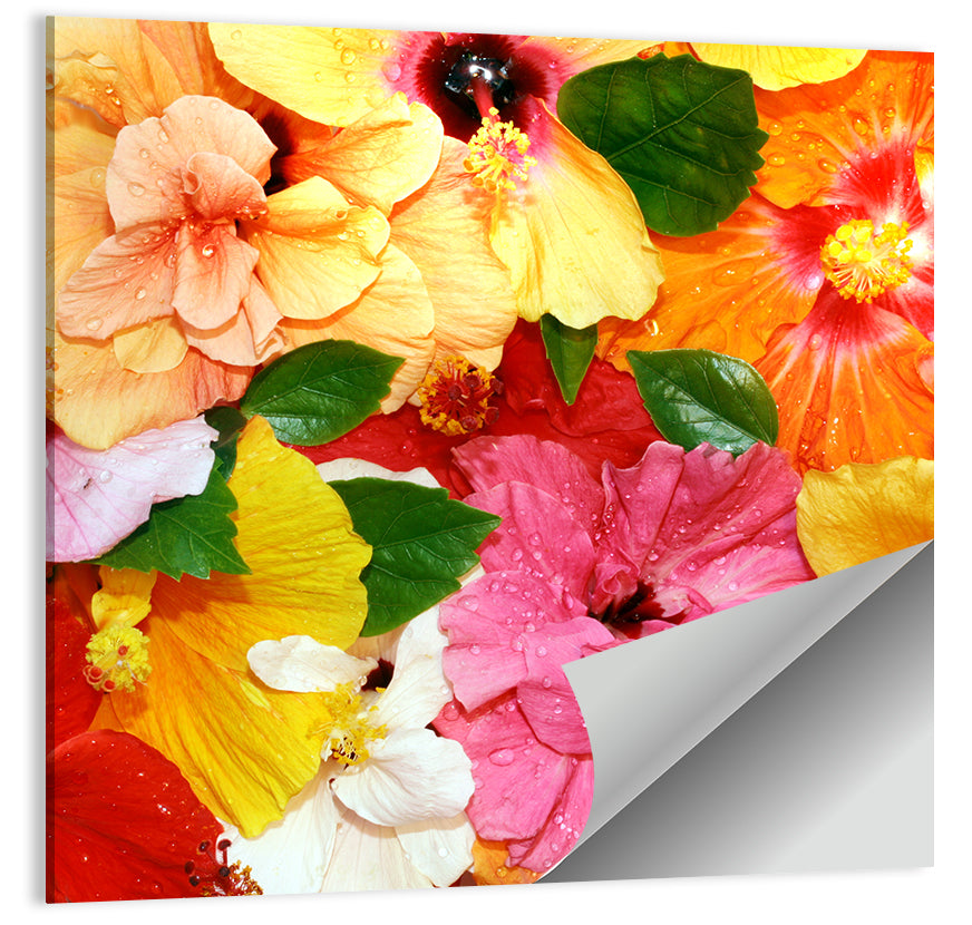 Hibiscus Flowers Wall Art