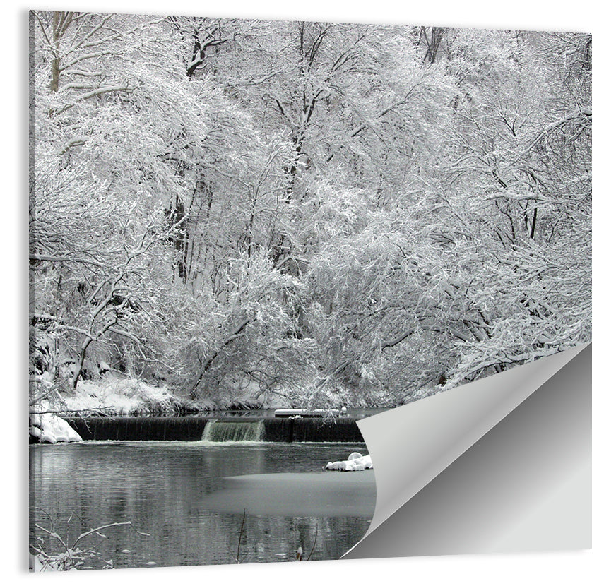 Fairmount Park Wall Art