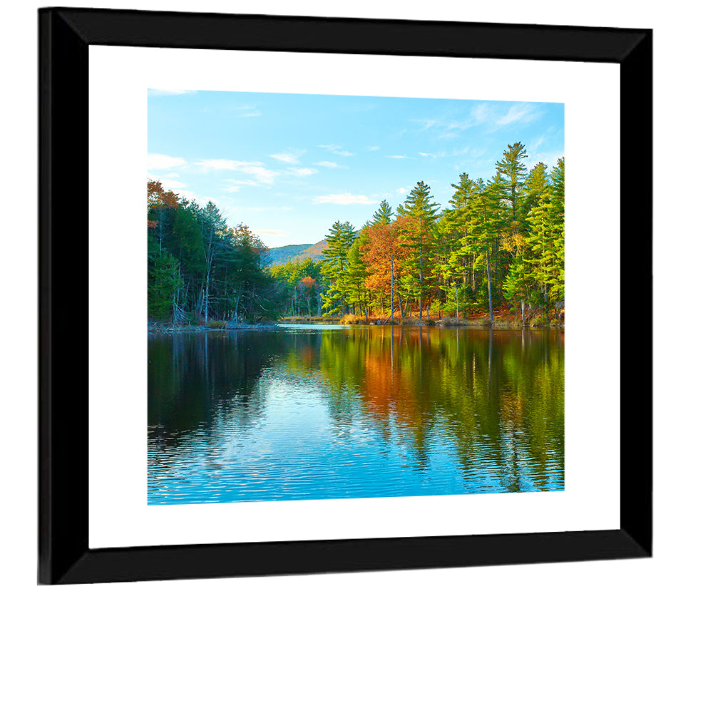White Mountain National Forest II Wall Art