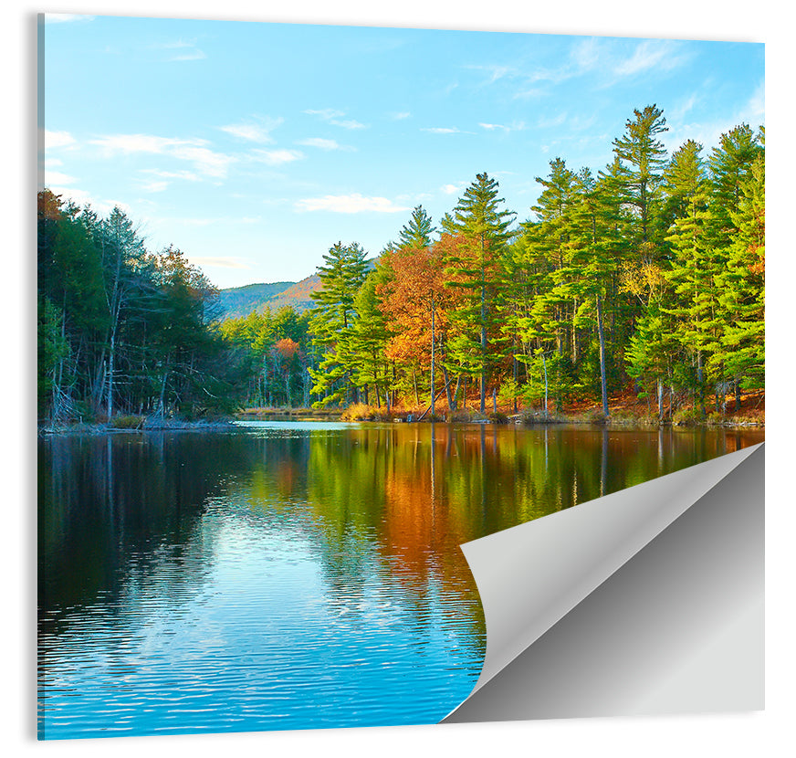 White Mountain National Forest II Wall Art