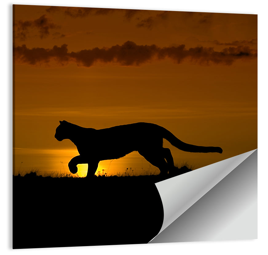 Wild Cougar Wall Art