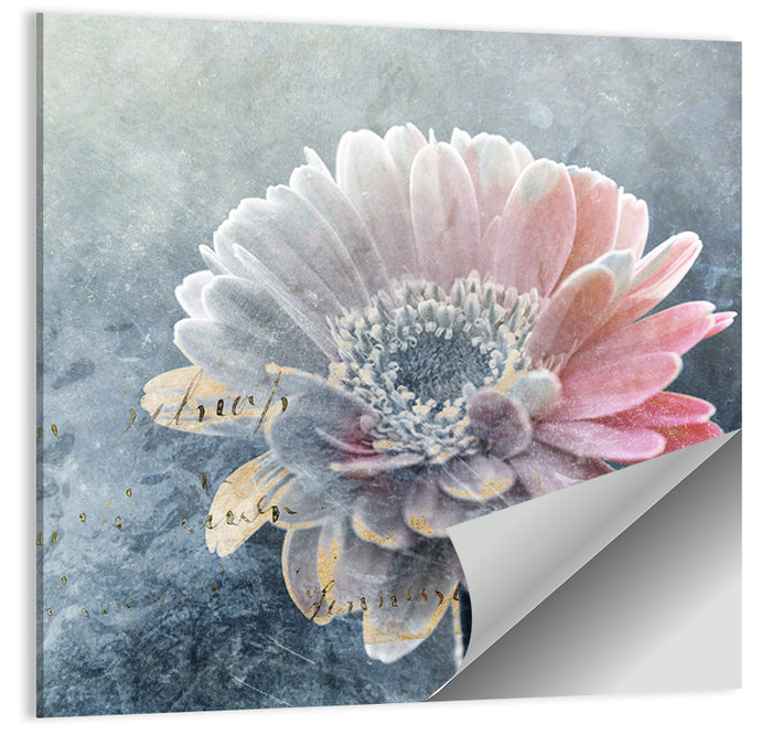 Winter Gerbera with Golden Script Wall Art as a poster print