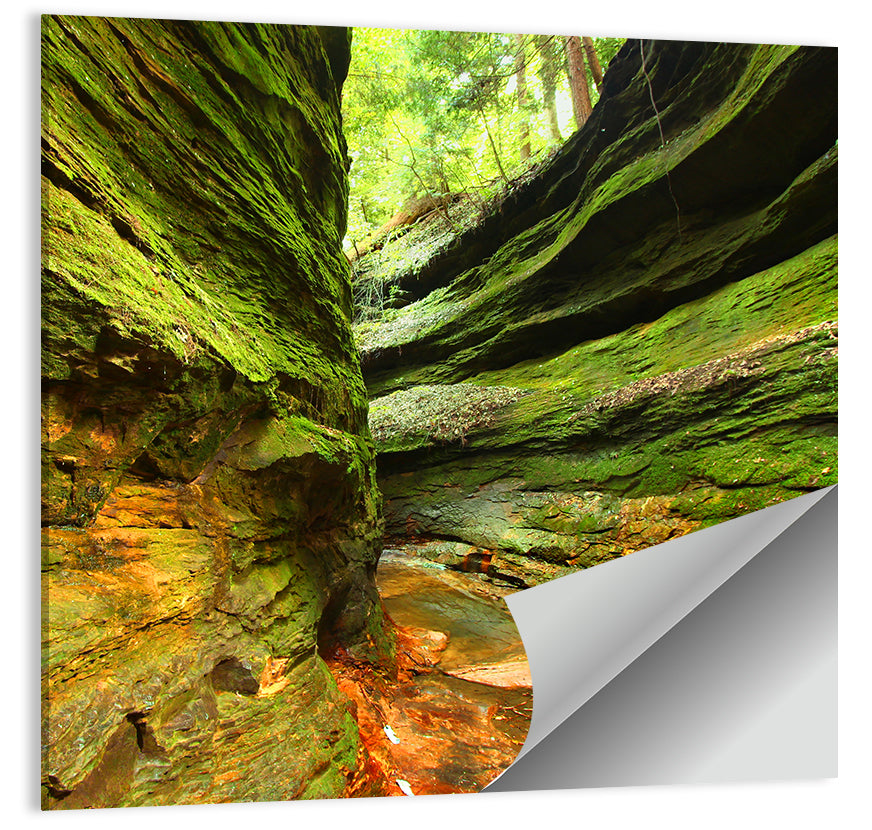 Turkey Run State Park Wall Art