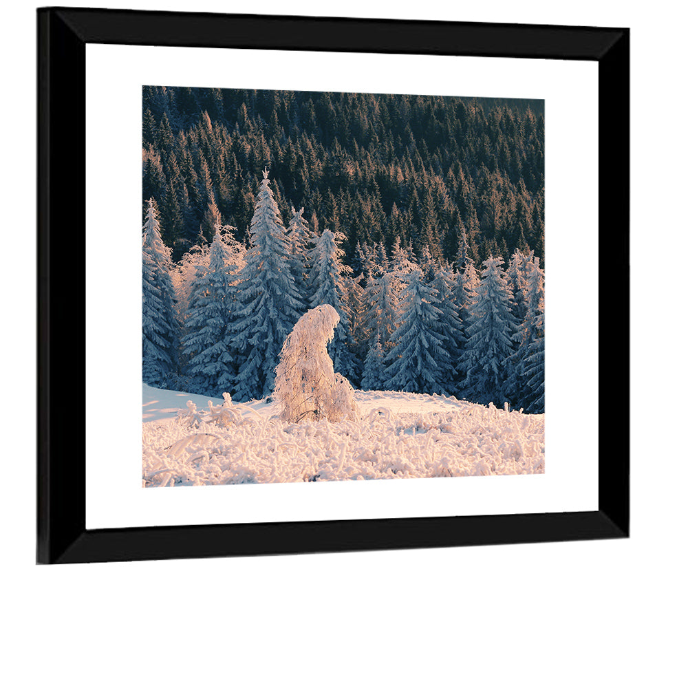 Snowy Carpathian Forest Wall Art