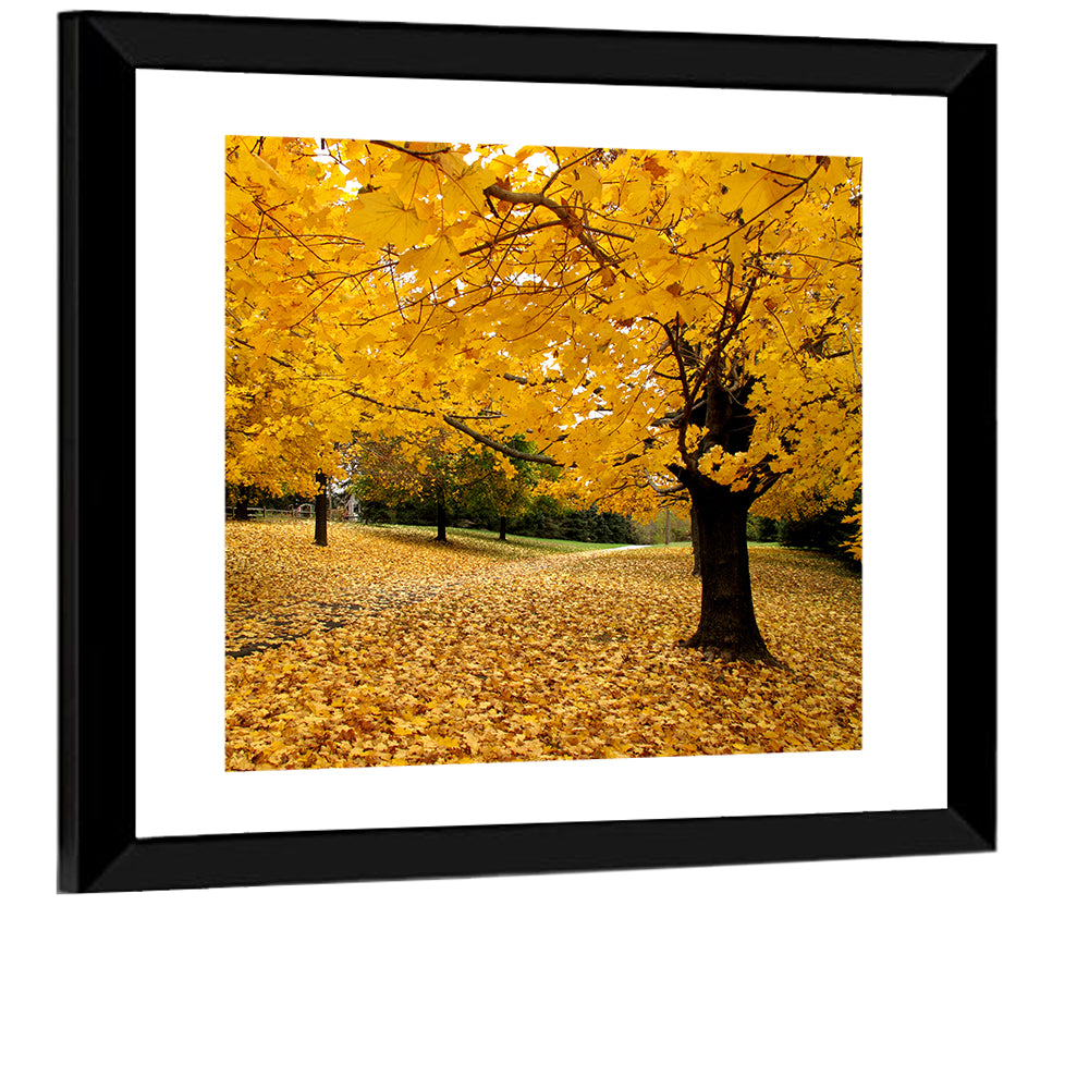Baltimore Fall Foliage Wall Art