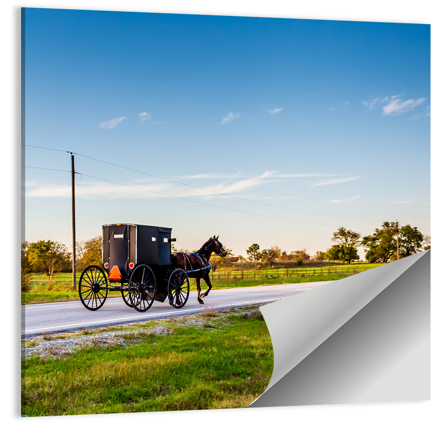 Horse and Buggy Amish Oklahoma Wall Art