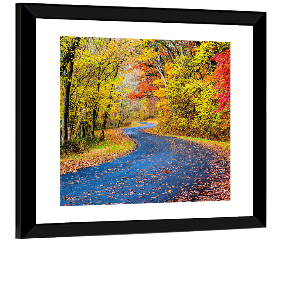 Wet Autumn Road Wall Art
