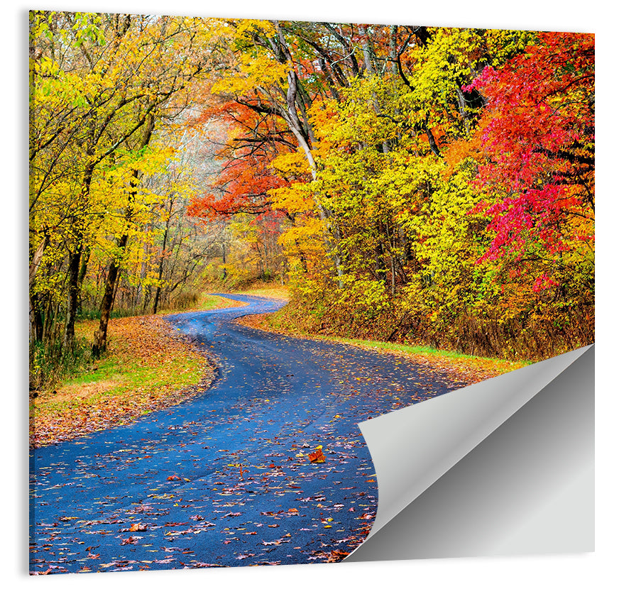 Wet Autumn Road Wall Art