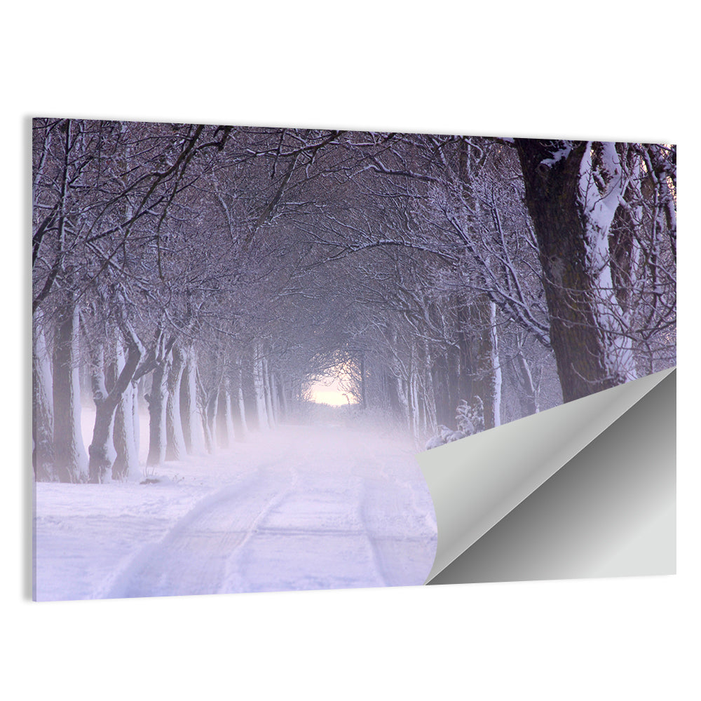 Kuressaare Park Winter Wall Art