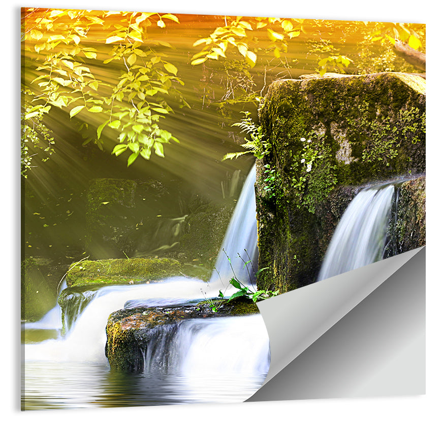 Forest Waterfall Wall Art