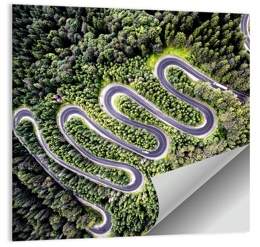 Curvy Road Wall Art