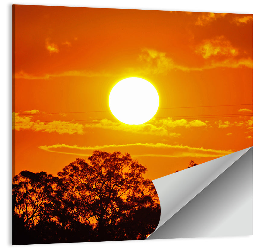 Summer Sunset Wall Art