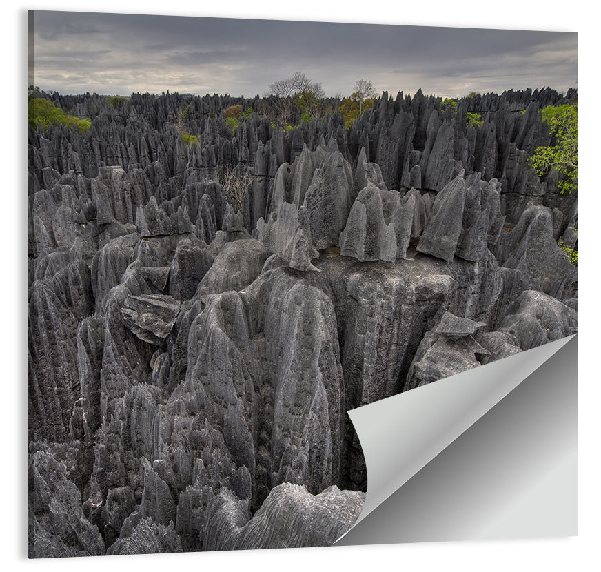 Tsingy de Bemaraha Wall Art