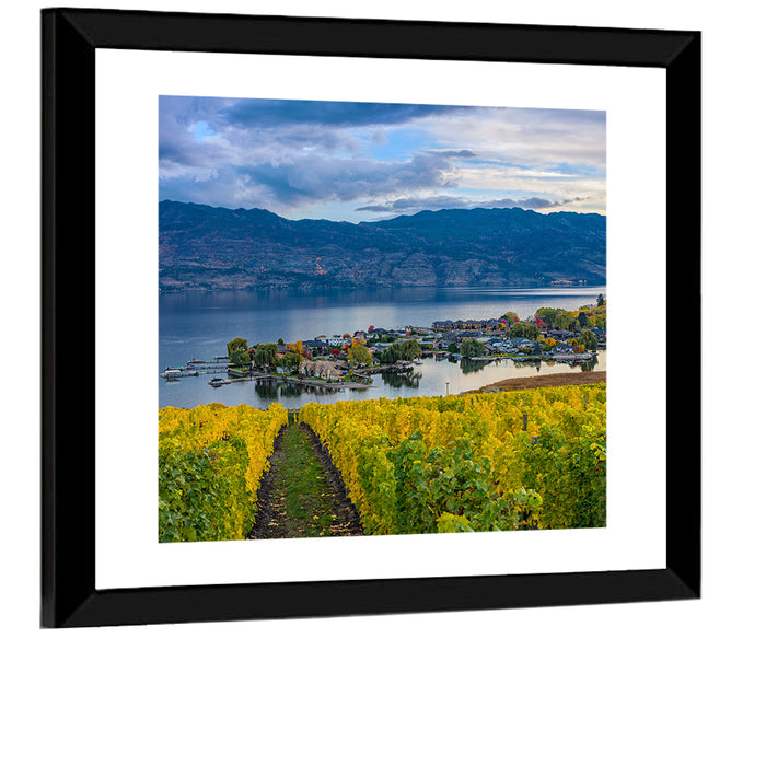 Okanagan Lake Vineyard, Kelowna Wall Art as a framed print