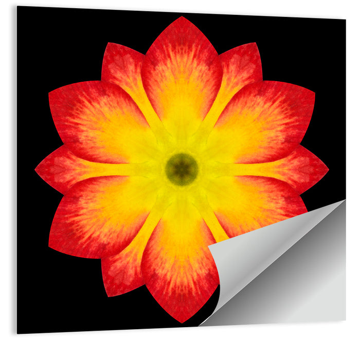 Red Yellow Mandala Flower Pattern Wall Art as a poster print