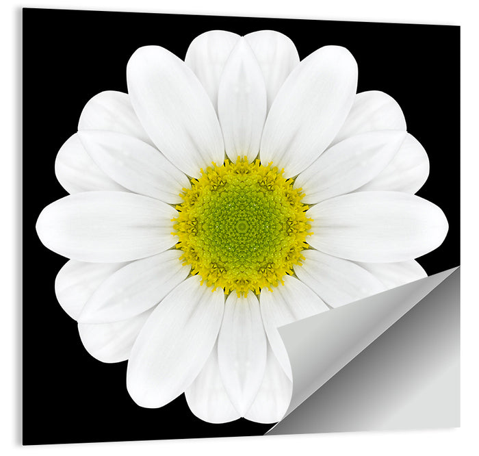 High Contrast Daisy Mandala Pattern Wall Art as a poster print