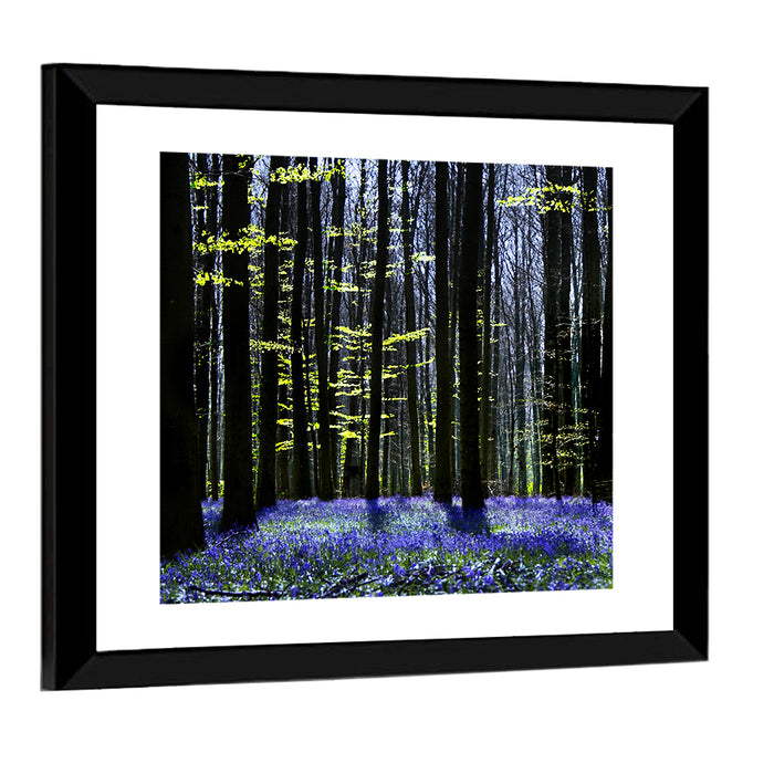 Bluebell Symphony Wall Art as a framed print