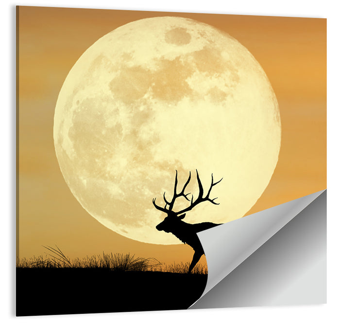 Bull Elk Silhouette Under Supermoon Wall Art as a poster print