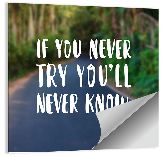 If You Never Try You’ll Never Know Quote Wall Art as a poster print