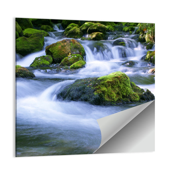 Mossy Forest Stream Wall Art as a poster print