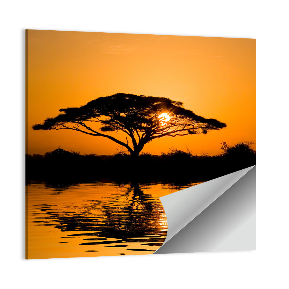 Acacia Tree at Sunrise Wall Art, poster print, square
