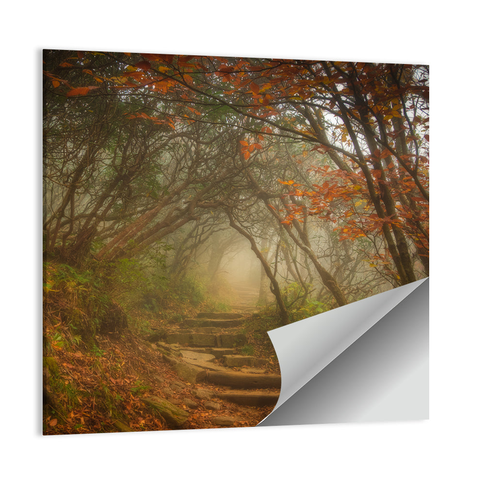 Craggy Garden Trail Wall Art
