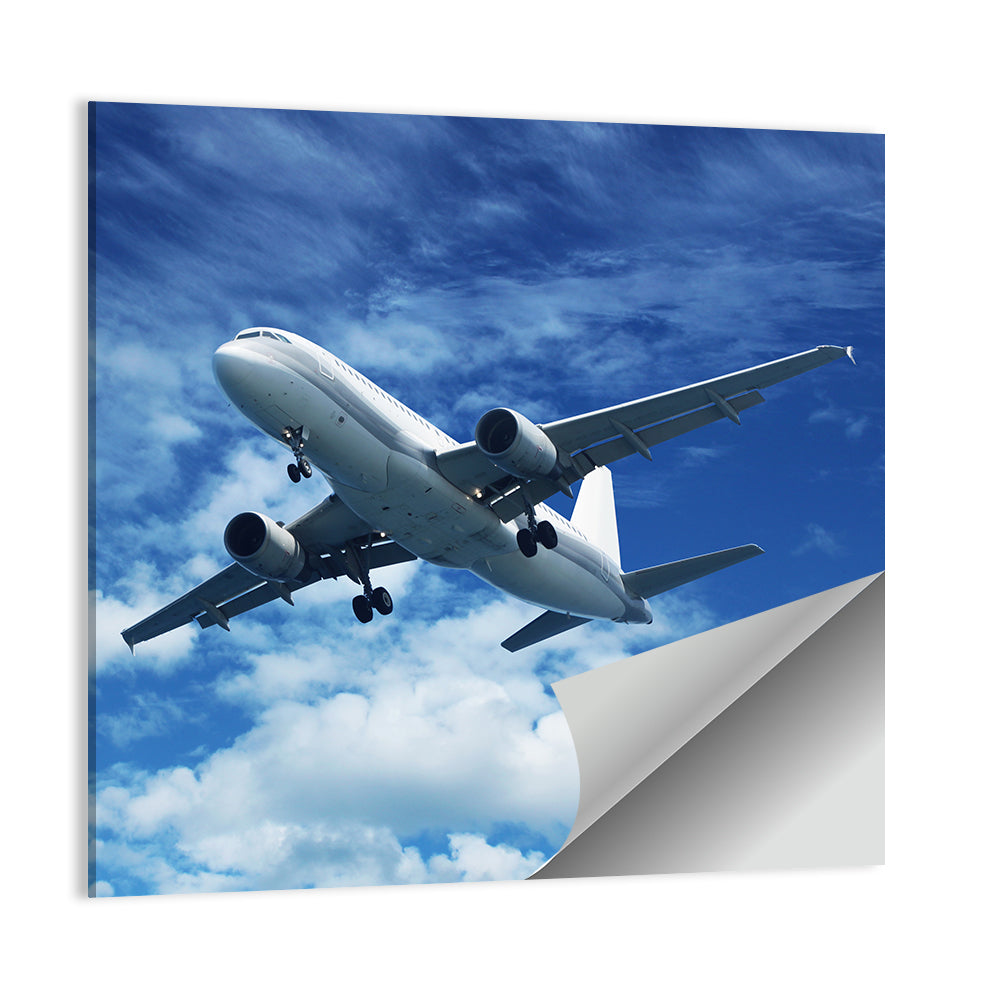 Passenger Airplane Wall Art