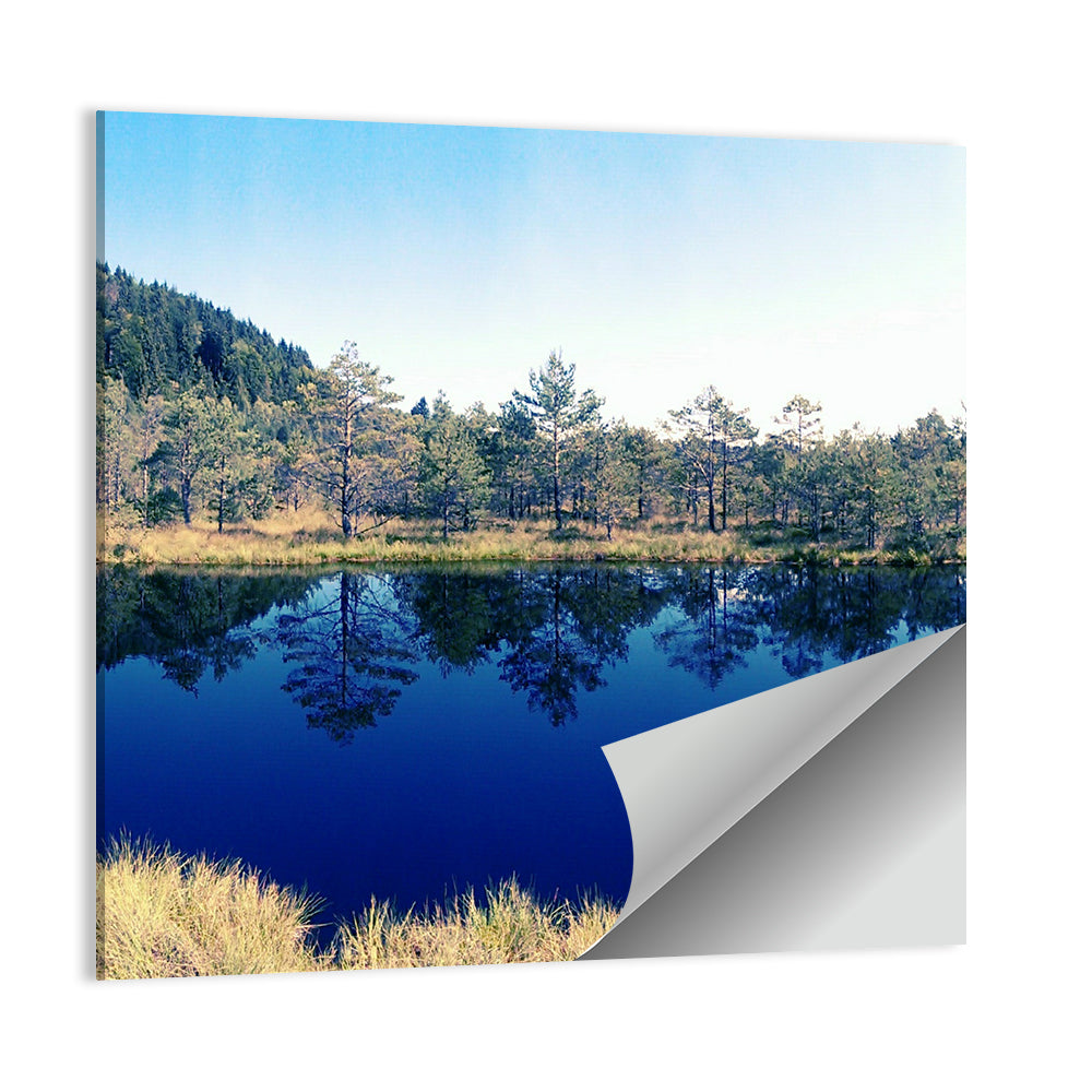 Tundra Reservation Park Lake Wall Art