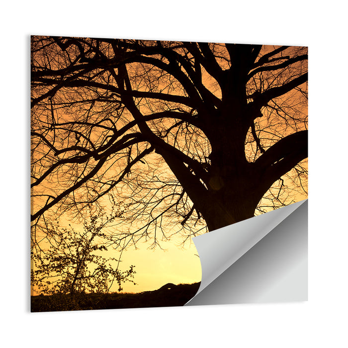 Willow Tree Sunset Wall Art as a poster print