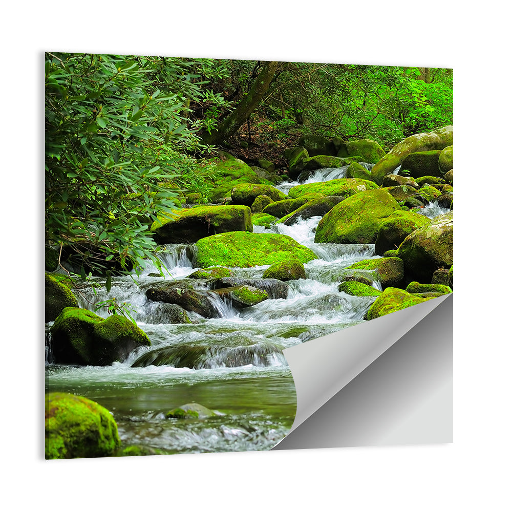 Cascading Mountain Stream Wall Art