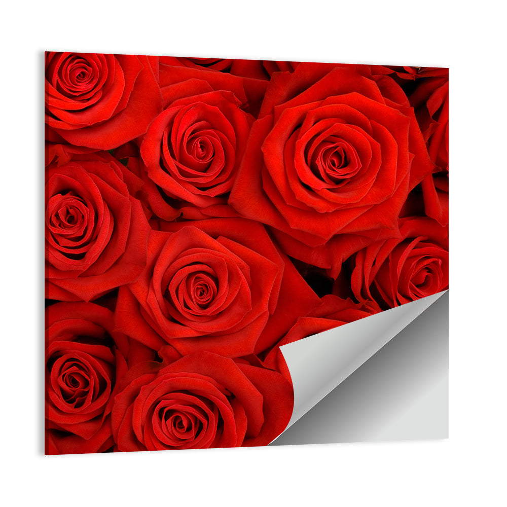 Red Roses Wall Art