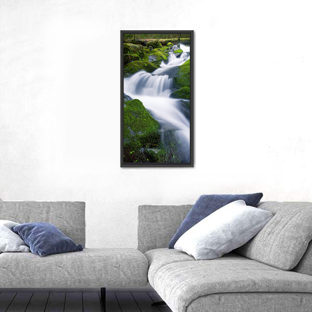 Waterfall in Olympic National Park Wall Art