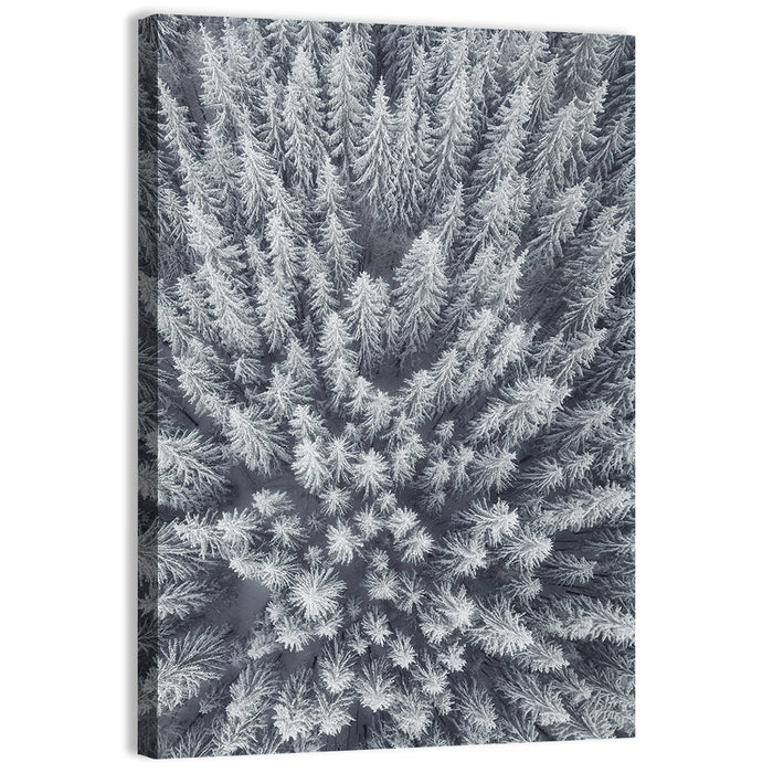 Snow Covered Pine Forest Wall Art as a canvas print