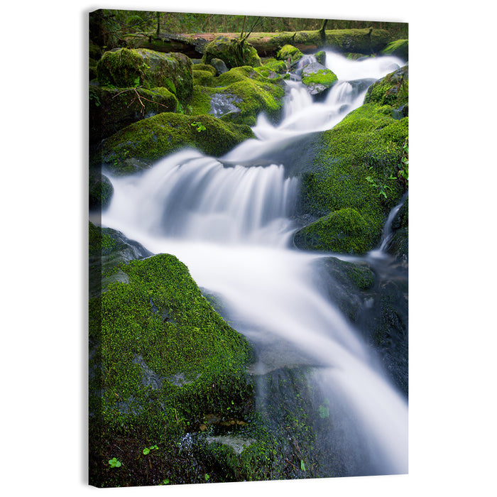 Olympic National Park Waterfall Wall Art as a canvas print