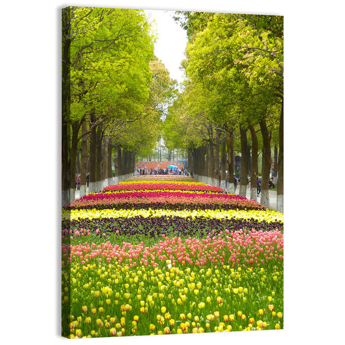 Tree-lined Tulip Garden Path Wall Art as a canvas print