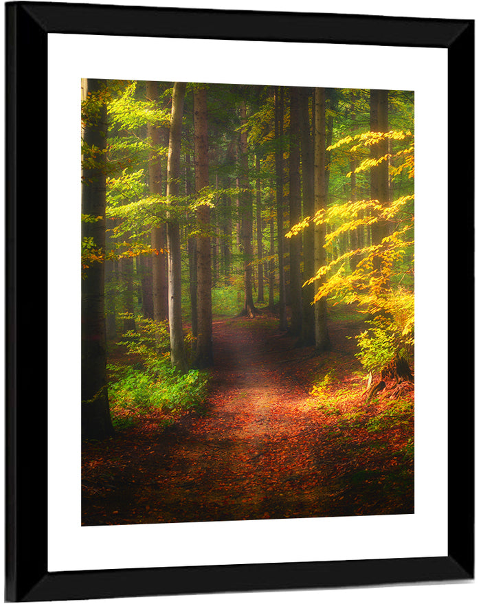 Autumn Forest Pathway Wall Art as a framed print
