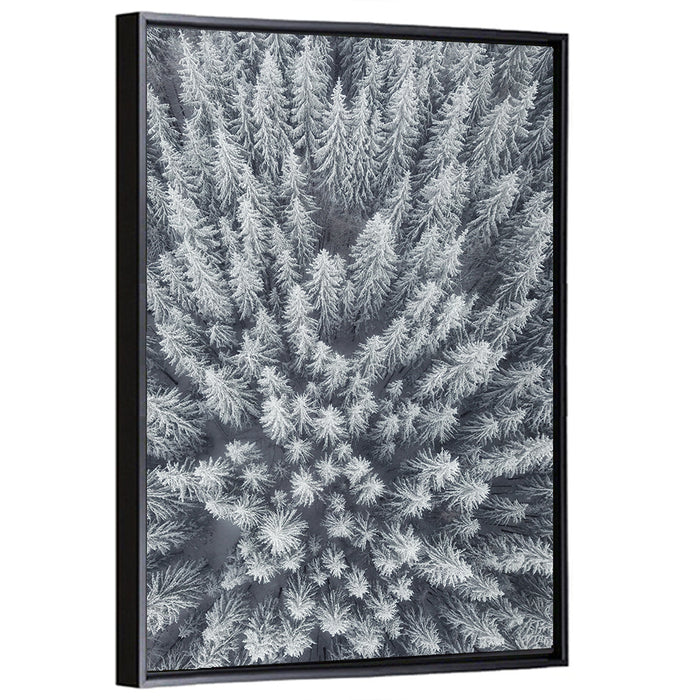Snow Covered Pine Forest Wall Art as a framed canvas