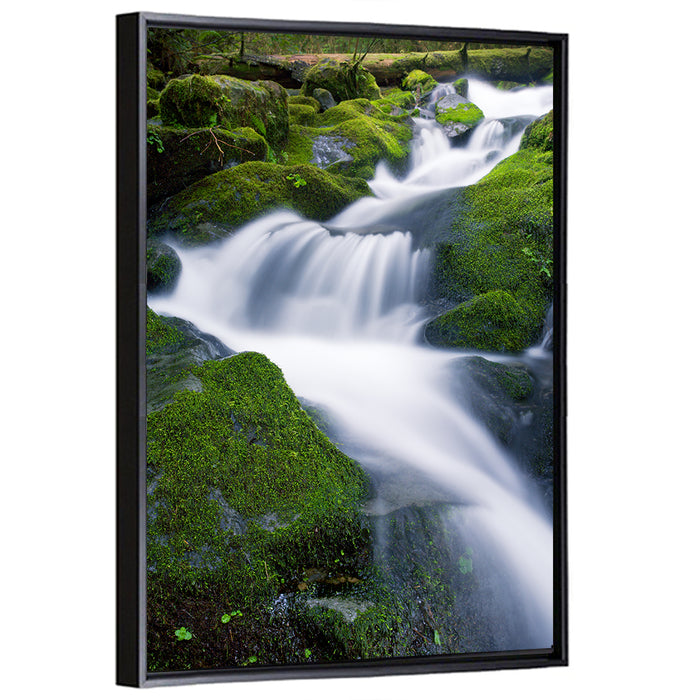 Olympic National Park Waterfall Wall Art as a framed canvas