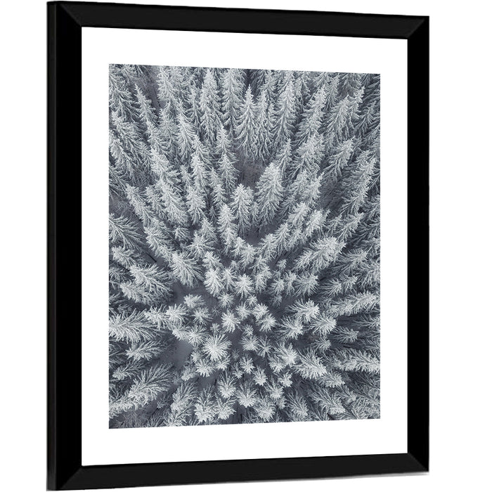 Snow Covered Pine Forest Wall Art as a framed print