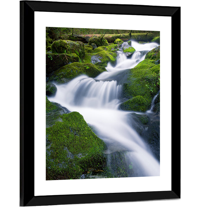 Olympic National Park Waterfall Wall Art as a framed print