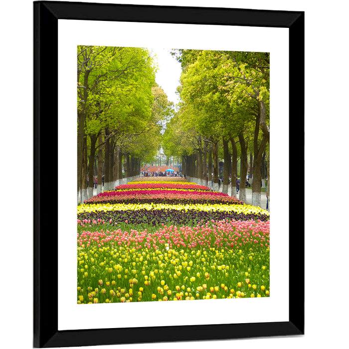 Tree-lined Tulip Garden Path Wall Art as a framed print