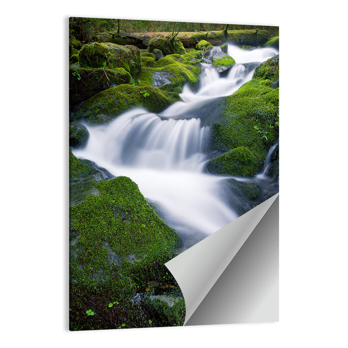 Olympic National Park Waterfall Wall Art as a poster print
