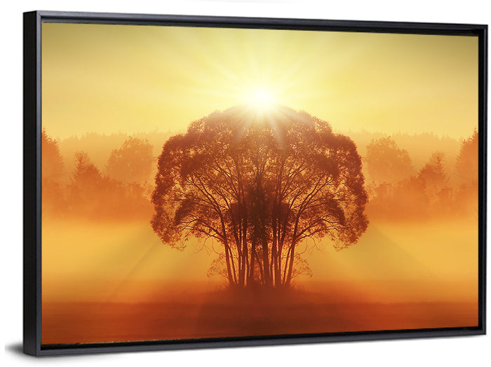Golden Haze Tree at Sunset Wall Art as a framed canvas
