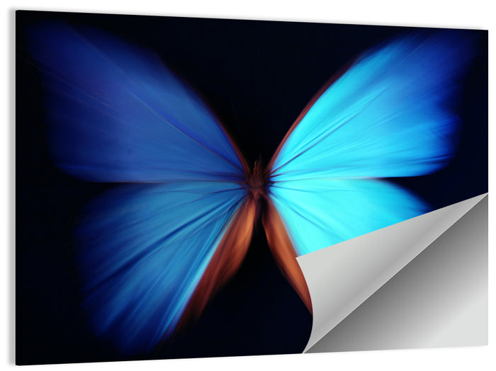 Blue Butterfly Macro Study Wall Art as a poster print