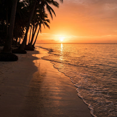 Beach wall canvas art, a tropical beach at golden hour with foamy waves on wet sand and palm silhouettes