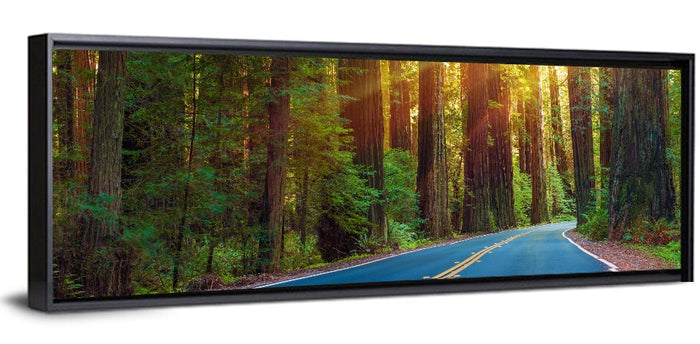 Sunlit Redwood Highway Wall Art as a framed canvas