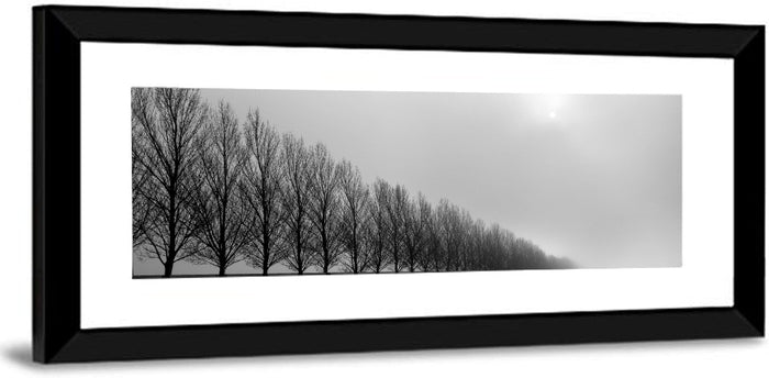 Misty Row of Bare Trees Wall Art as a framed print