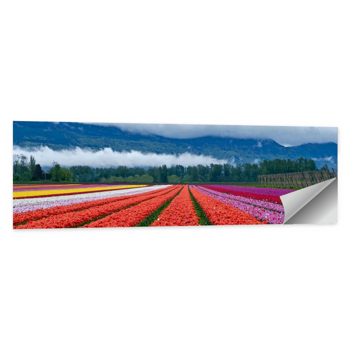 Chilliwack Tulip Festival Wall Art as a poster print